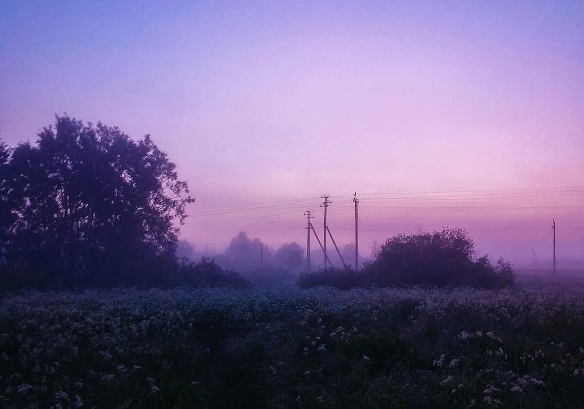 插曲视频免费完整版在线播放的五个经典事件