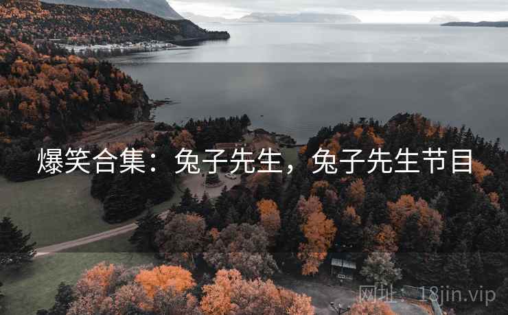 爆笑合集：兔子先生，兔子先生节目