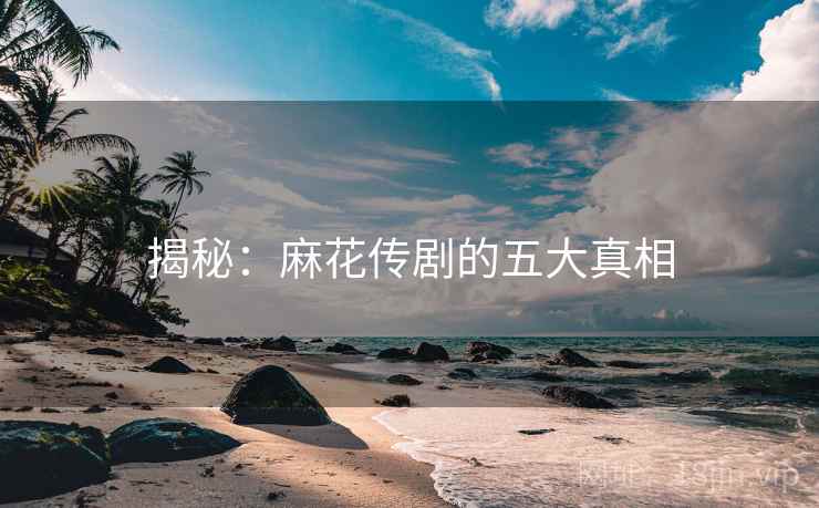 揭秘:麻花传剧的五大真相 揭秘:麻花传剧的五大真相